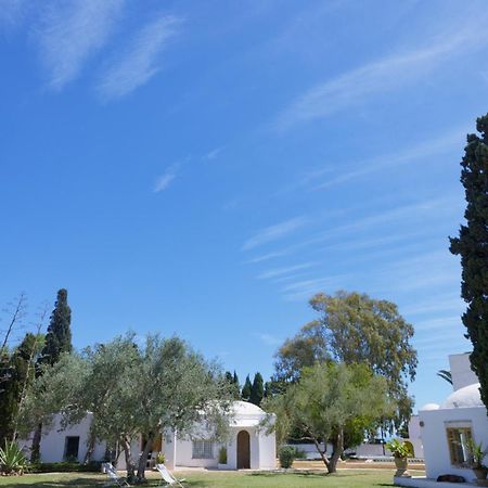 Lella Zohra, Studio Avec Piscine A Sidi Bou Said Bed & Breakfast Exterior photo