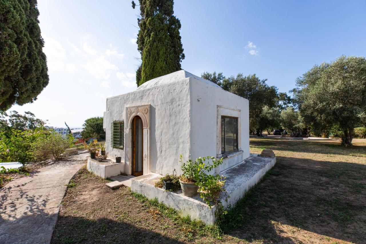 Lella Zohra, Studio Avec Piscine A Sidi Bou Said Bed & Breakfast Exterior photo