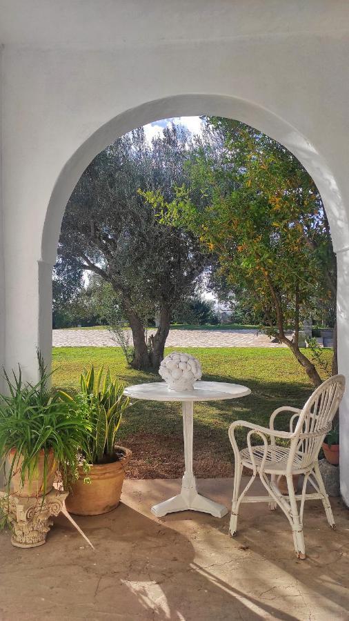 Lella Zohra, Studio Avec Piscine A Sidi Bou Said Bed & Breakfast Exterior photo