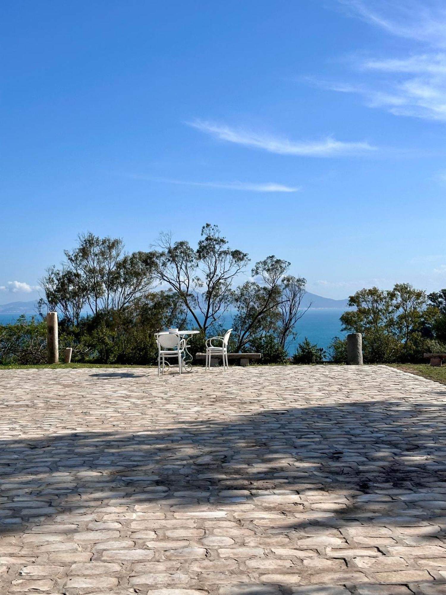Lella Zohra, Studio Avec Piscine A Sidi Bou Said Bed & Breakfast Exterior photo