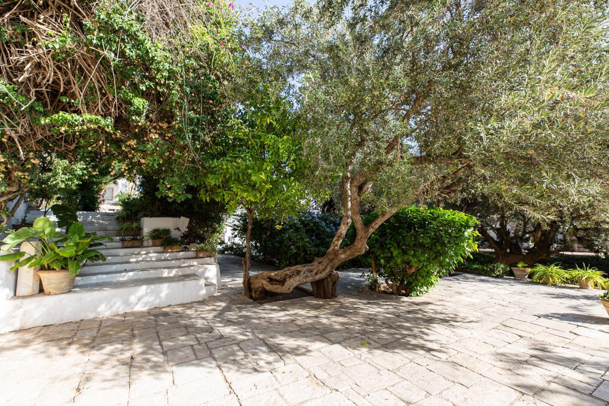 Lella Zohra, Studio Avec Piscine A Sidi Bou Said Bed & Breakfast Exterior photo