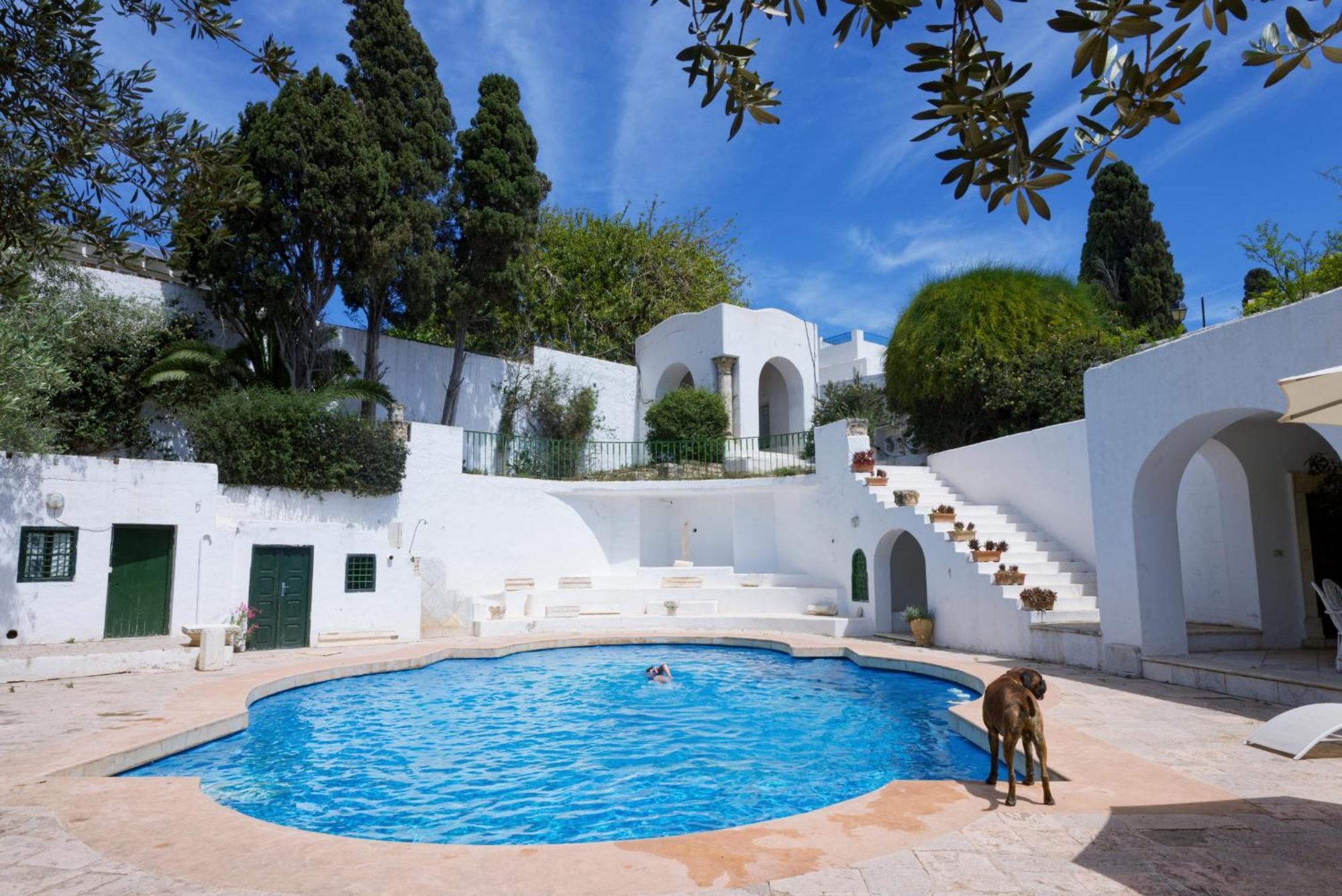 Lella Zohra, Studio Avec Piscine A Sidi Bou Said Bed & Breakfast Exterior photo
