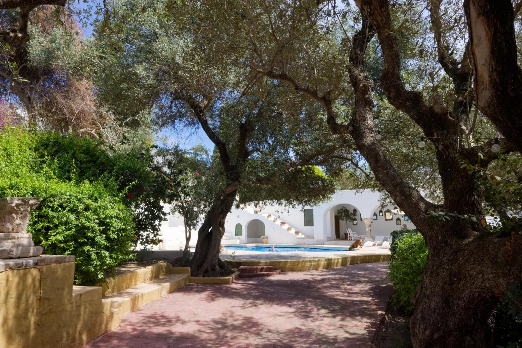 Lella Zohra, Studio Avec Piscine A Sidi Bou Said Bed & Breakfast Exterior photo
